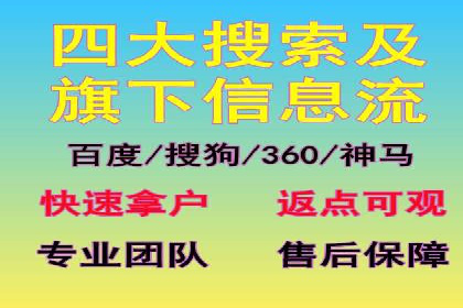 SEM服务案例：助力企业拓展海外市场
